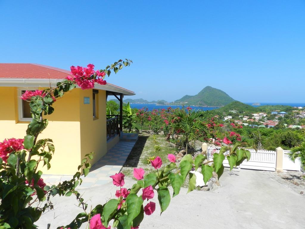 Apartamento Coco D'Iles Terre-de-Bas Habitación foto