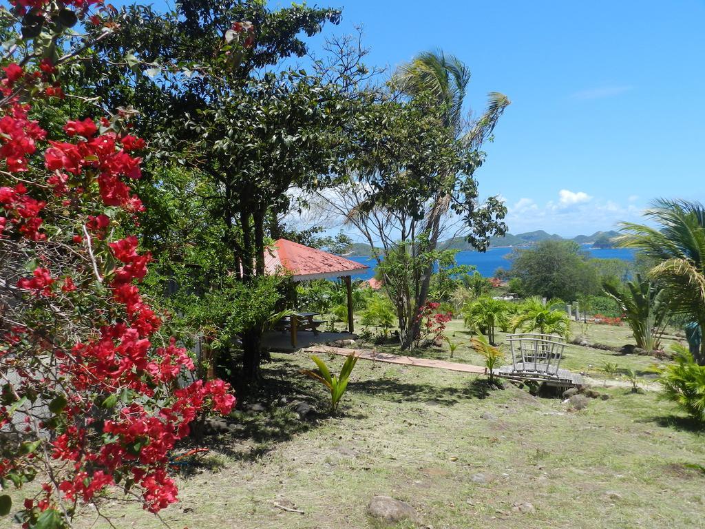 Apartamento Coco D'Iles Terre-de-Bas Exterior foto